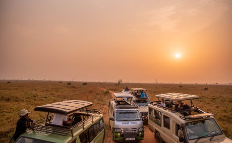 Experience the magic of Murchison National Park with Pilama Safaris. This captivating image captures the thrill of a game drive as excited tourists explore the African savanna in search of wildlife. The wildlife spotted in the image are such as lions, elephants, or giraffes. 