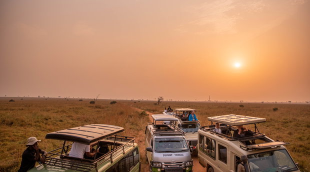 Experience the magic of Murchison National Park with Pilama Safaris. This captivating image captures the thrill of a game drive as excited tourists explore the African savanna in search of wildlife. The wildlife spotted in the image are such as lions, elephants, or giraffes. 