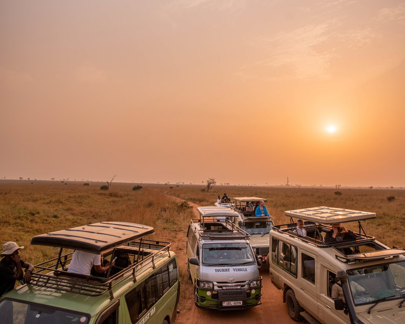 Experience the magic of Murchison National Park with Pilama Safaris. This captivating image captures the thrill of a game drive as excited tourists explore the African savanna in search of wildlife. The wildlife spotted in the image are such as lions, elephants, or giraffes. 
