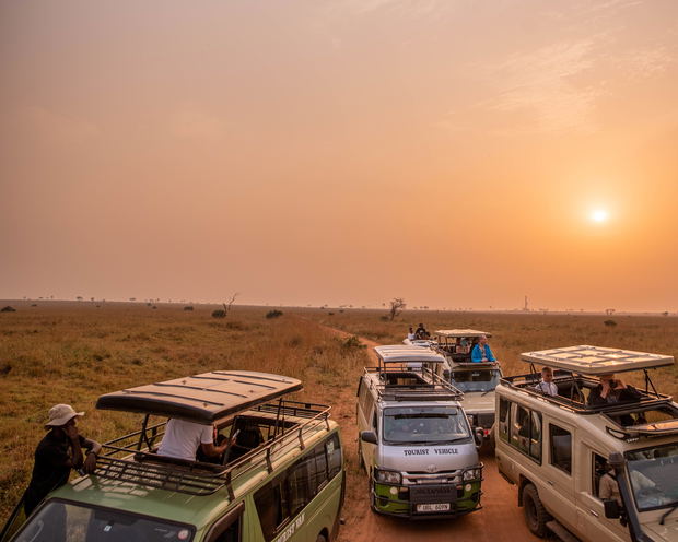 Experience the magic of Murchison National Park with Pilama Safaris. This captivating image captures the thrill of a game drive as excited tourists explore the African savanna in search of wildlife. The wildlife spotted in the image are such as lions, elephants, or giraffes. 