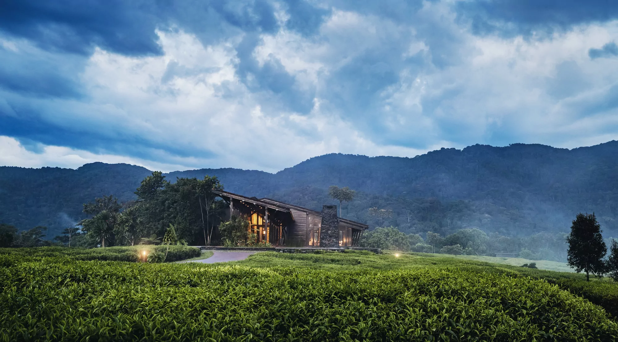 Rwanda   Nyungwe