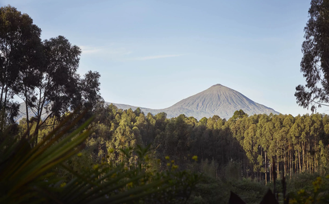 Best time to travel to Rwanda