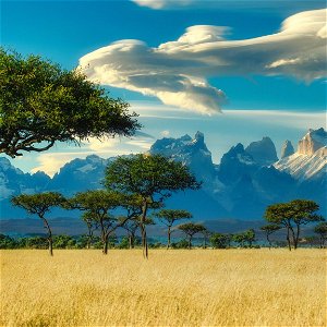 Tailor-made Tours in Kenya