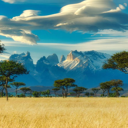 Tailor-made Tours in Kenya