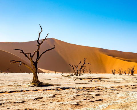Namibie
