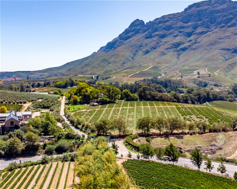 Image showing Cape Winelands in Banhoek Valley outside of Stellenbosch with Gonana Travel