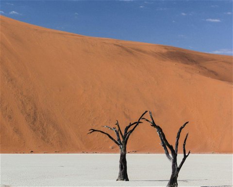 Cesta po poušti Sossusvlei