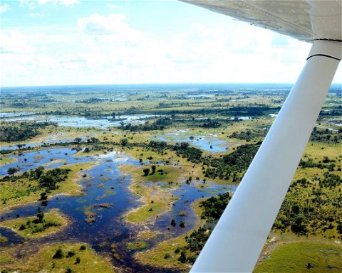 Safari v deltě řeky Okavango