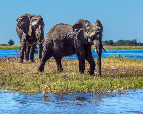 BOTSWANA