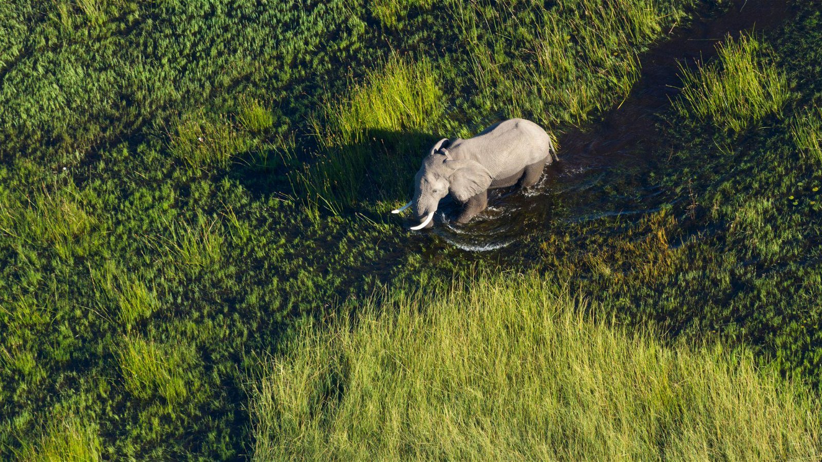 Botswana