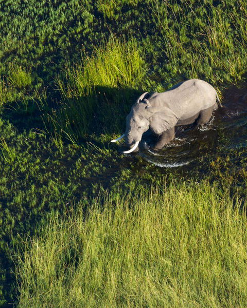 BOTSWANA