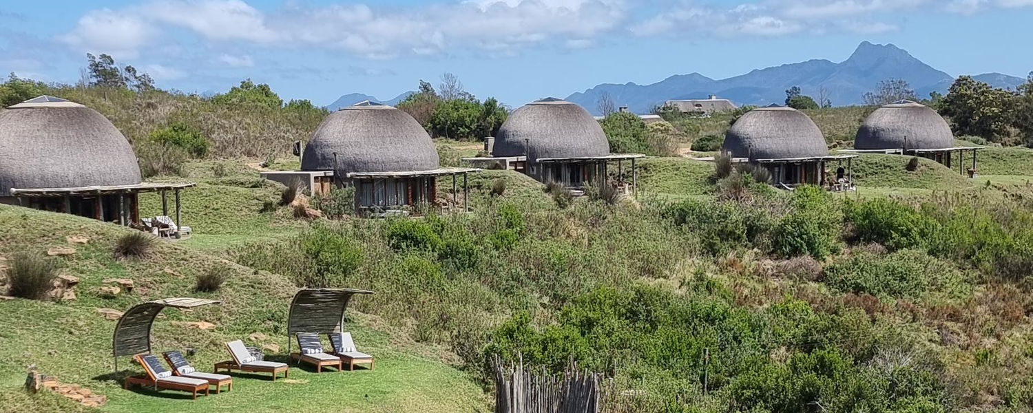 Garden Route Safari with Gonana South African Travel