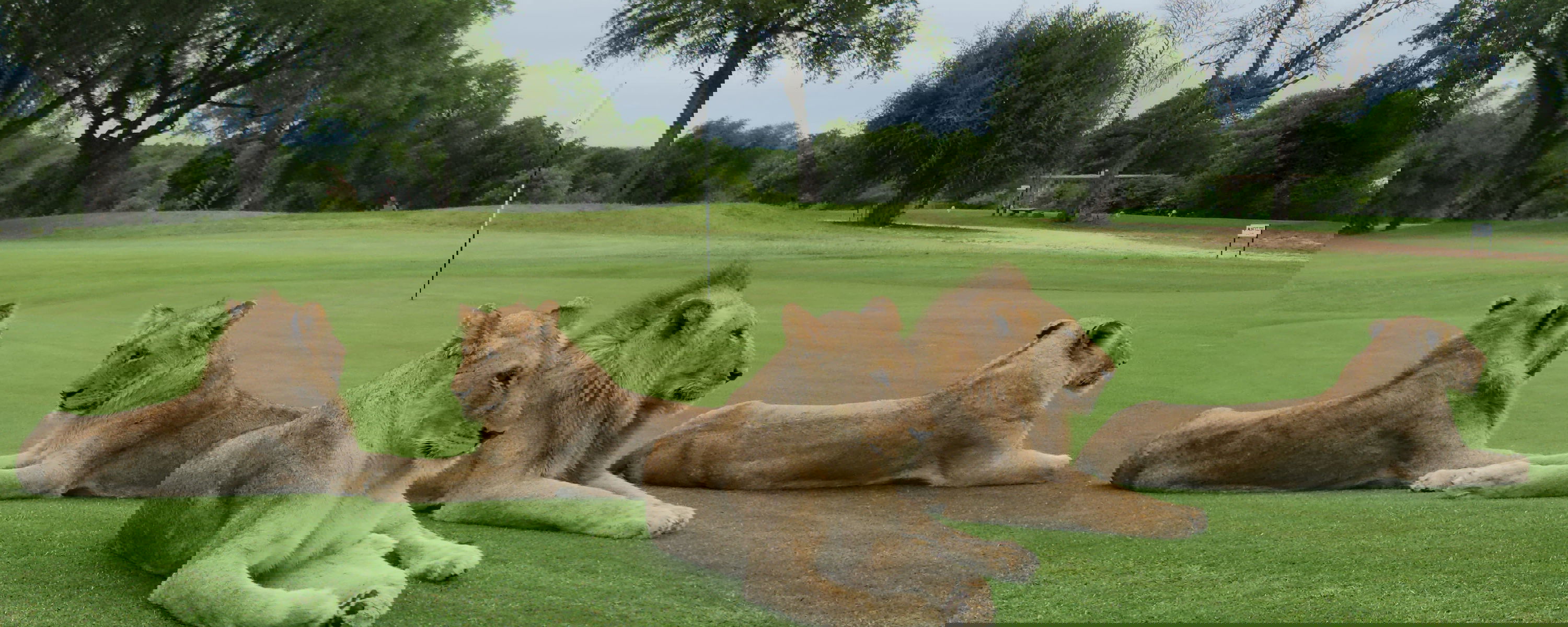 Slå ut i paradiset med Gonana South African Travel