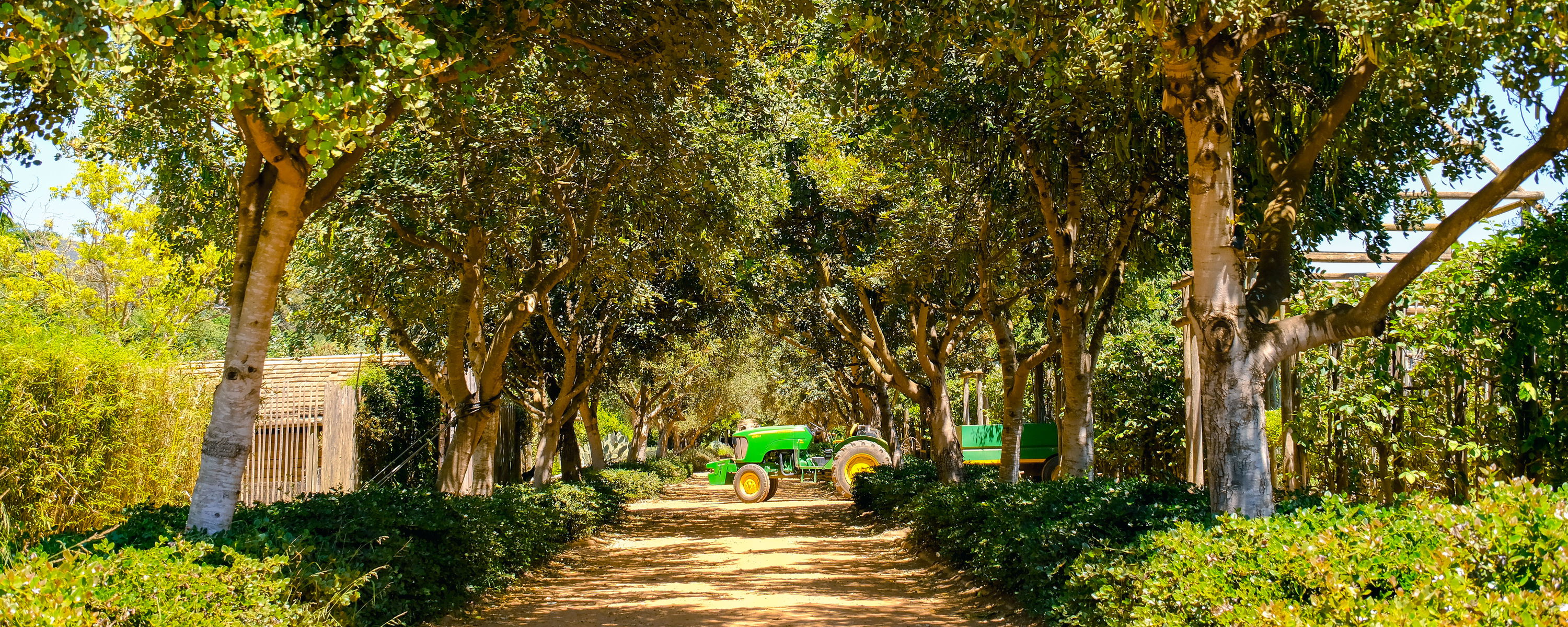 Upptäck ekologiska råvaror & färska marknader