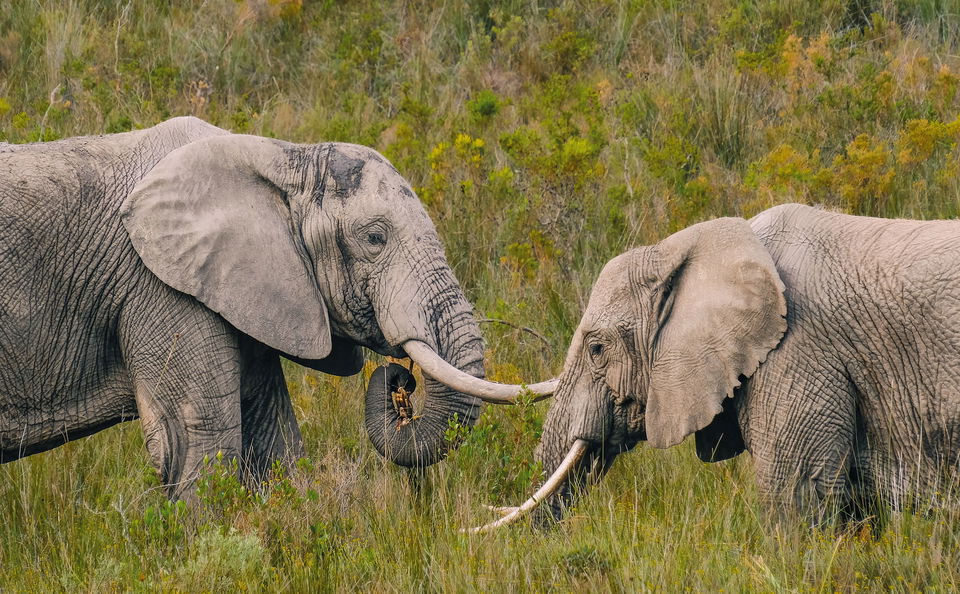 12-dagars resa: Atlanten till Indiska oceanen
