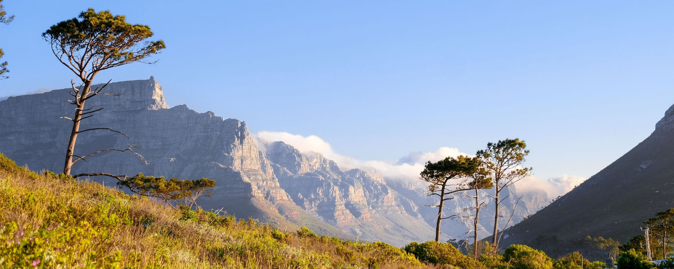 Skräddarsydda Sydafrikanska äventyr