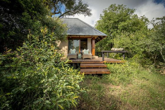 Private viewing decks. Shimungwe. Thornybush Game Reserve Private viewing decks. Shimungwe. Thornybush Game Reserve