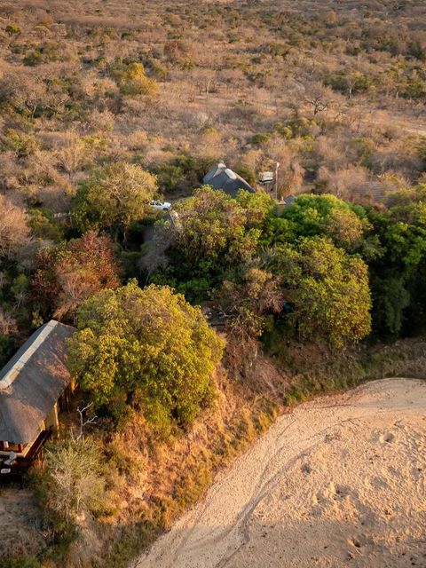 Shimungwe Lodge, Thornybush Game Reserve