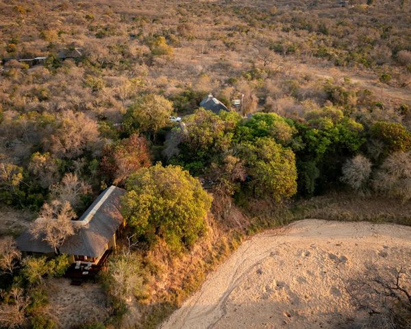 Shimungwe Lodge, Thornybush Game Reserve
