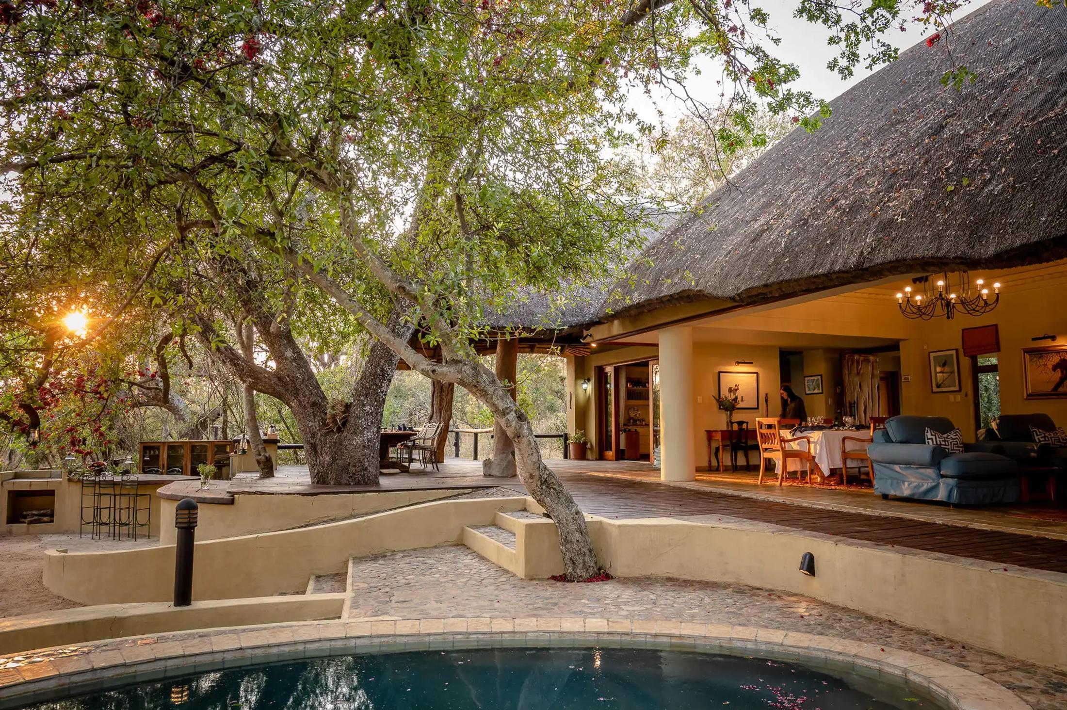 Shimungwe Lodge, Thornybush Game Reserve