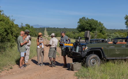 Big Five Game Drives in Thornybush