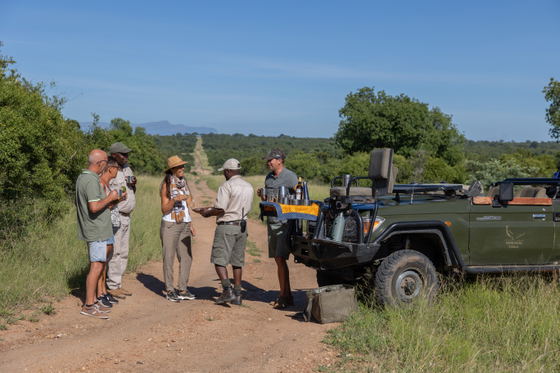 Guests on open air vehicles enjoying a guided big five African safari Guests on open air vehicles enjoying a guided big five African safari