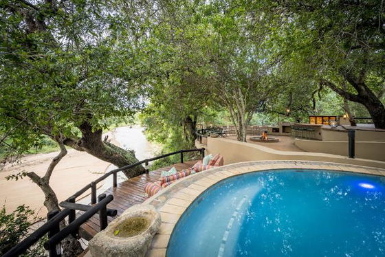 Swimming pool with a view! Shimungwe Lodge in Thornybush Game Reserve, Greater Kruger Swimming pool with a view! Shimungwe Lodge in Thornybush Game Reserve, Greater Kruger