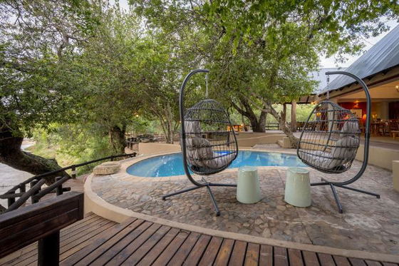 Enjoy swimming in a pool with a view! Big five safari lodge. Thornybush Game Reserve. Enjoy swimming in a pool with a view! Big five safari lodge. Thornybush Game Reserve.