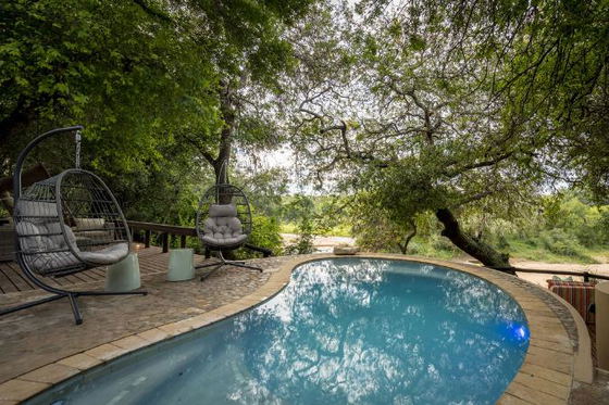 Pool in the tree canopy. Big five safari lodge. Thornybush Game Reserve. Pool in the tree canopy. Big five safari lodge. Thornybush Game Reserve.