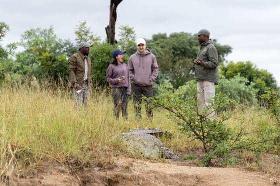 Guests out on a game drive, looking for wildlife, Thornybush Game Reserve, Greater Kruger