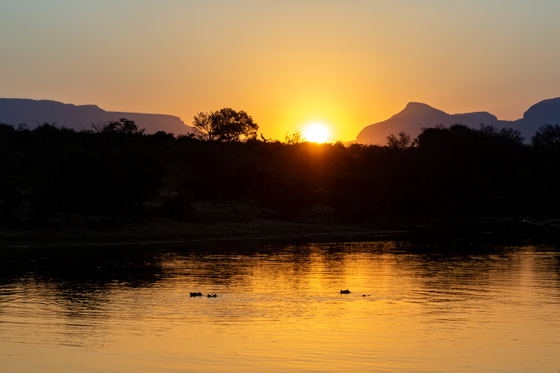 Sunset Dam on Thornybush Game Reserve, Greater Kruger Sunset Dam on Thornybush Game Reserve, Greater Kruger