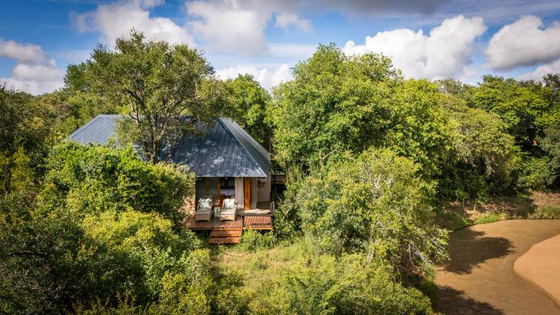 Luxury safari lodge nestled in the trees on the riverbank in Thornybush Game Reserve, Hoedspruit, South Africa Luxury safari lodge nestled in the trees on the riverbank in Thornybush Game Reserve, Hoedspruit, South Africa