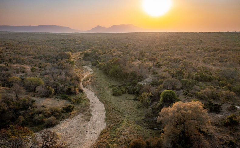 dry river bed in Thornybush Game Reserve, part of the Greater Kruger dry river bed in Thornybush Game Reserve, part of the Greater Kruger