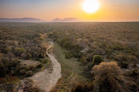 dry river bed in Thornybush Game Reserve, part of the Greater Kruger dry river bed in Thornybush Game Reserve, part of the Greater Kruger