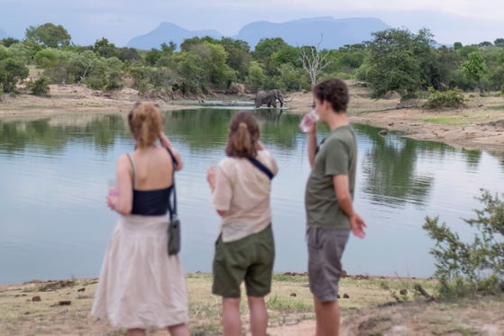 Guests watching elephant across a water hole on game drive, Thornybush Game Reserve, Greater Kruger Guests watching elephant across a water hole on game drive, Thornybush Game Reserve, Greater Kruger