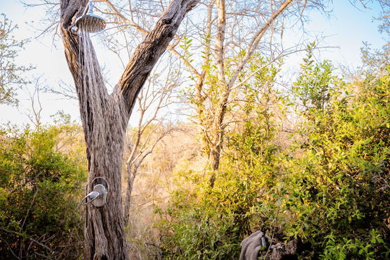 Invigorating outdoor shower, Shimungwe Lodge, Thornybush Game Reserve Invigorating outdoor shower, Shimungwe Lodge, Thornybush Game Reserve