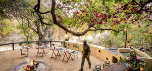 Back in Time Safari Offer at Shimungwe Lodge