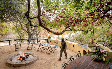Back in Time Safari Offer at Shimungwe Lodge