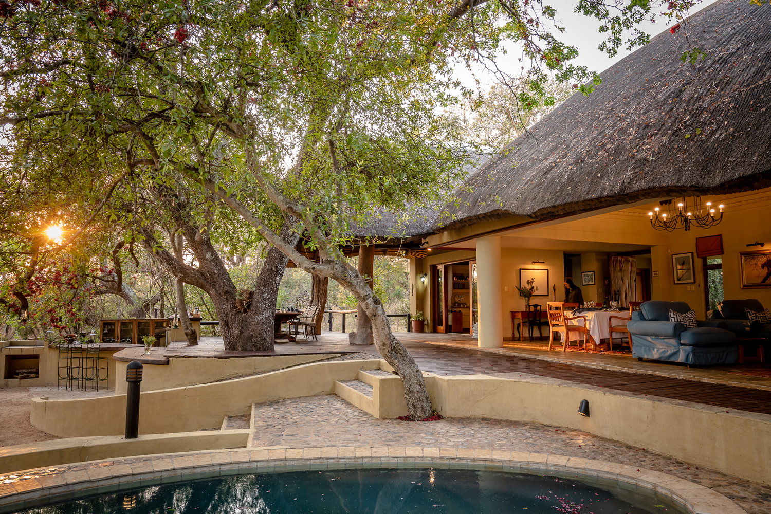 safari lodge with swimming pool
