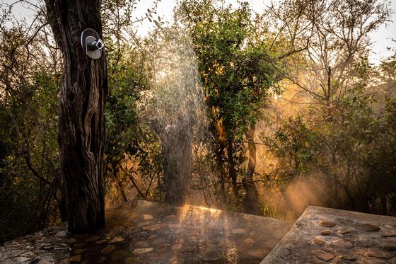 Shimungwe Lodge, Thornybush Game Reserve