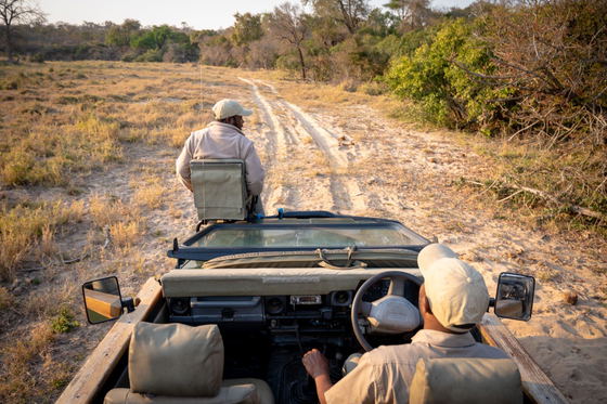 Game drive on sandy tracks in Thornybush Game Reserve, Greater Kruger Game drive on sandy tracks in Thornybush Game Reserve, Greater Kruger