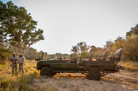 Game drive in open air vehicles to see big five safari wildlife animals Game drive in open air vehicles to see big five safari wildlife animals