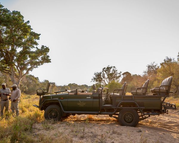 Big Five game drive at Shimungwe Lodge