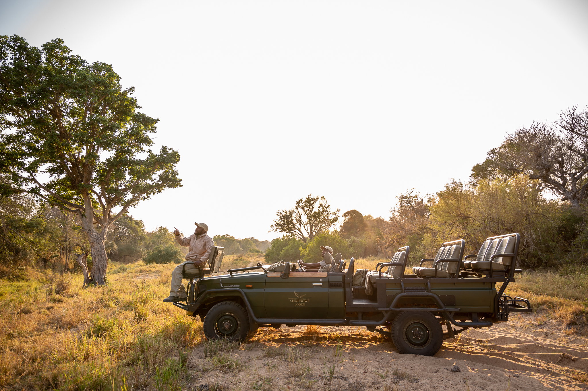Game ranger and tracker on game drive discussing wildlife, Thornybush Game Reserve