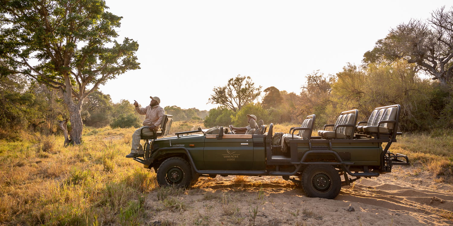 Game ranger and tracker on game drive discussing wildlife, Thornybush Game Reserve