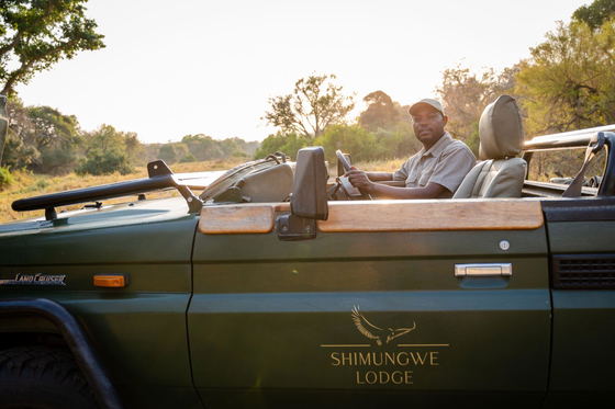 Game drives on Thornybush Game Reserve, Greater Kruger Game drives on Thornybush Game Reserve, Greater Kruger