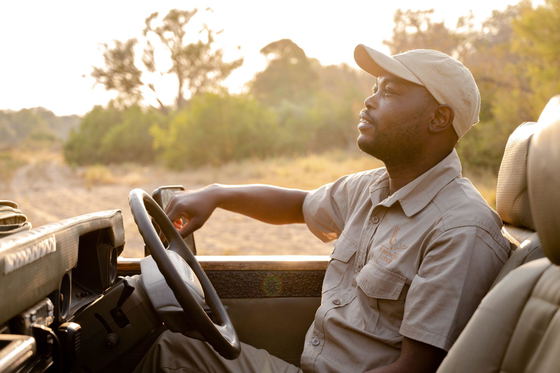 An experienced game ranger on game drive, Shimungwe Lodge, Thornybush Game Reserve, Greater Kruger An experienced game ranger on game drive, Shimungwe Lodge, Thornybush Game Reserve, Greater Kruger