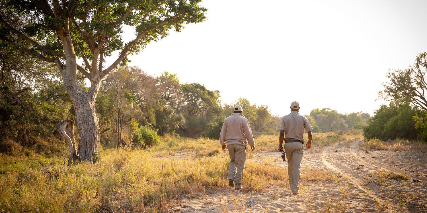 Nature walks with trained rangers, Shimungwe Lodge, Thornybush Game Reserve, Greater Kruger