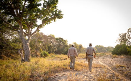 Big Five Walking Safaris in Thornybush