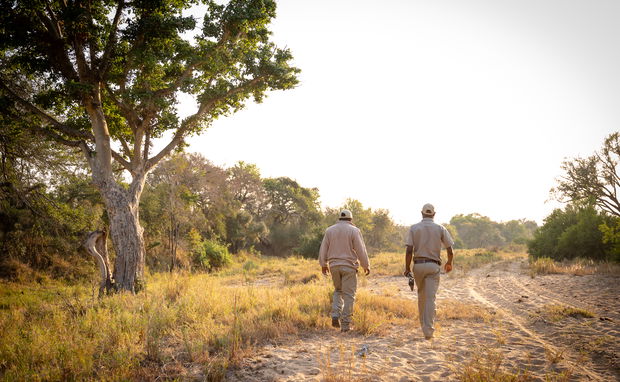 Nature walks in the African bush with experienced rangers